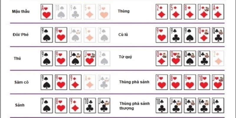 Các chi cơ bản trong game bài binh xập xám